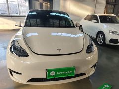 Tesla Model Y Rear-Wheel Drive - ფოტო 3