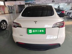 Tesla Model Y Rear-Wheel Drive - ფოტო 6