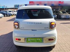 FAW Besturn Xiaoma 222km Dynamic Edition - ფოტო 4