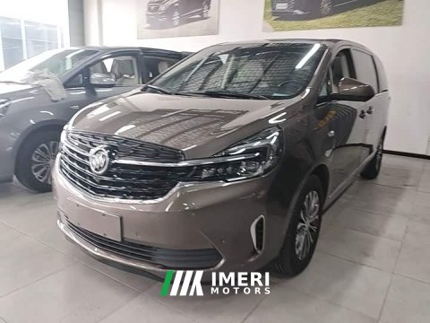 2021 Buick GL8 2022 Land Executive Cabin 652T Premium - ავტომობილი ჩინეთიდან