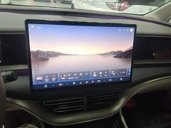Denza D9 2022 DM-i 970 AWD Flagship - ფოტო 13
