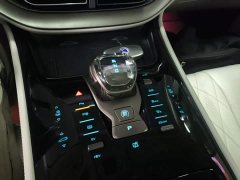 Denza D9 2022 DM-i 970 AWD Flagship - ფოტო 14