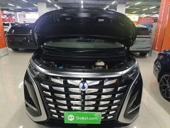 Denza D9 2022 DM-i 970 AWD Flagship - ფოტო 20