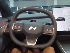 Nio Lerado L60 2025 60kWh Rear-Wheel Drive - ფოტო 11