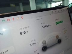 Nio Lerado L60 2025 60kWh Rear-Wheel Drive - ფოტო 12