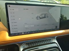 Xpeng G9 2022 702 Max - ფოტო 13