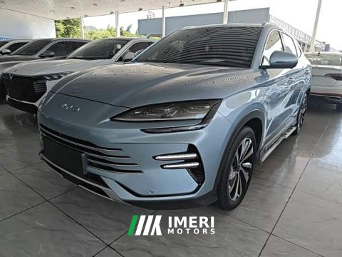 2024 BYD Song Plus New Energy Champion Edition DM-i 110KM Flagship
