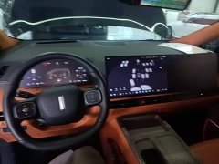 Great Wall WEY Shanshan New Energy Four-Wheel Drive Shanshan 8 - ფოტო 10