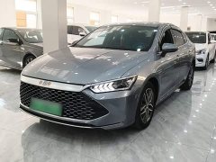 BYD Qin Plus 2021 DM-i 55KM Flagship - ფოტო 1