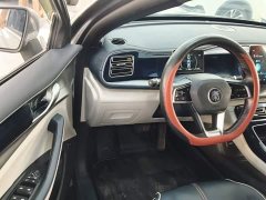 BYD Qin Plus 2021 DM-i 55KM Flagship - ფოტო 16