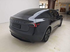 Tesla Model 3 2023 Rear-Wheel Drive - ფოტო 7