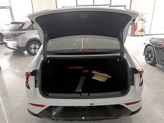 Wuling Starlight 510km Smart Advanced Edition - ფოტო 15