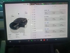 Tesla Model Y Rear-Wheel Drive - ფოტო 12