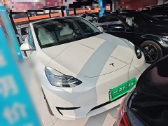 Tesla Model Y 2022 Facelift Rear-Wheel Drive - ფოტო 4