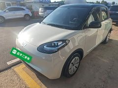 Wuling Binguo 2023 333km Quick Enjoy Edition - ფოტო 1