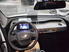 Wuling Hongguang MINIEV Zizai Edition LFP Battery - ფოტო 10