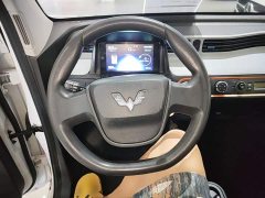 Wuling Hongguang MINIEV Zizai Edition LFP Battery - ფოტო 11