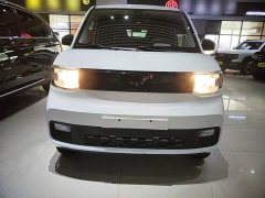 Wuling Hongguang MINIEV Zizai Edition LFP Battery - ფოტო 3