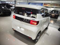 Wuling Hongguang MINIEV Zizai Edition LFP Battery - ფოტო 7