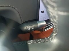 Li Auto L6 Pro - ფოტო 14