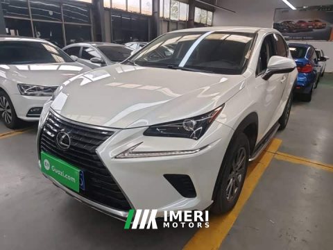 2021 Lexus NX 2020 200 FWD Sharp Edition National VI - ავტომობილი ჩინეთიდან