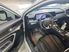 Nissan Raize 260T Love Bean Edition - ფოტო 16