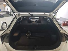Nissan Raize 260T Love Bean Edition - ფოტო 19