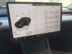 Tesla Model Y Long Range All-Wheel Drive - ფოტო 13