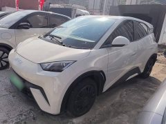 BYD Seagull 305km Vitality Edition - ფოტო 1