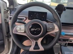 BYD Seagull 305km Vitality Edition - ფოტო 11