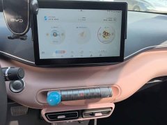 BYD Seagull 305km Vitality Edition - ფოტო 13