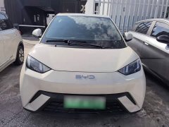 BYD Seagull 305km Vitality Edition - ფოტო 3