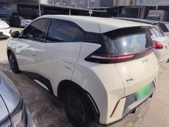 BYD Seagull 305km Vitality Edition - ფოტო 5