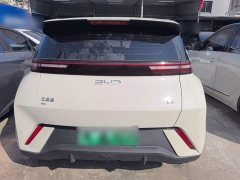 BYD Seagull 305km Vitality Edition - ფოტო 6