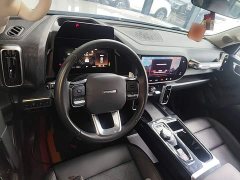 Great Wall Dachshund 2022 1.5T DCT Two-Wheel Drive Border Collie Edition - ფოტო 10