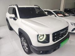 Great Wall Dachshund 2022 1.5T DCT Two-Wheel Drive Border Collie Edition - ფოტო 4