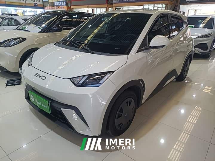 BYD Seagull 305km Vitality Edition