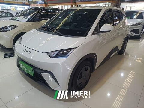 2025 BYD Seagull 305km Vitality Edition