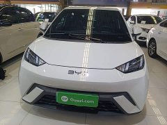 BYD Seagull 305km Vitality Edition - ფოტო 3