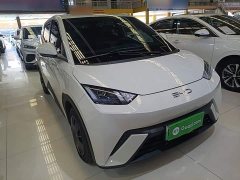 BYD Seagull 305km Vitality Edition - ფოტო 4