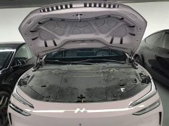 Nio Lerado L60 2024 60kWh Rear-Wheel Drive - ფოტო 20