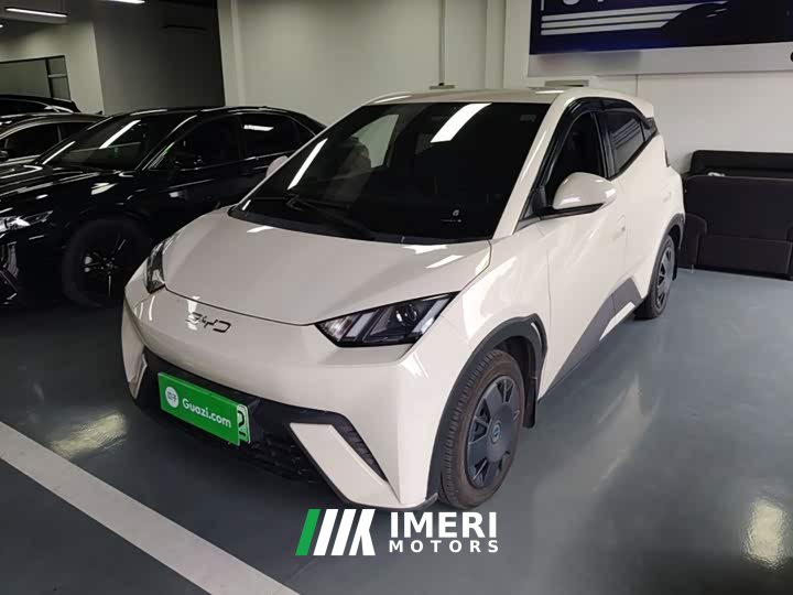 BYD Seagull 305km Vitality Edition - ავტომობილი ჩინეთიდან