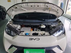 BYD Seagull 305km Vitality Edition - ფოტო 20