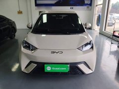 BYD Seagull 305km Vitality Edition - ფოტო 3