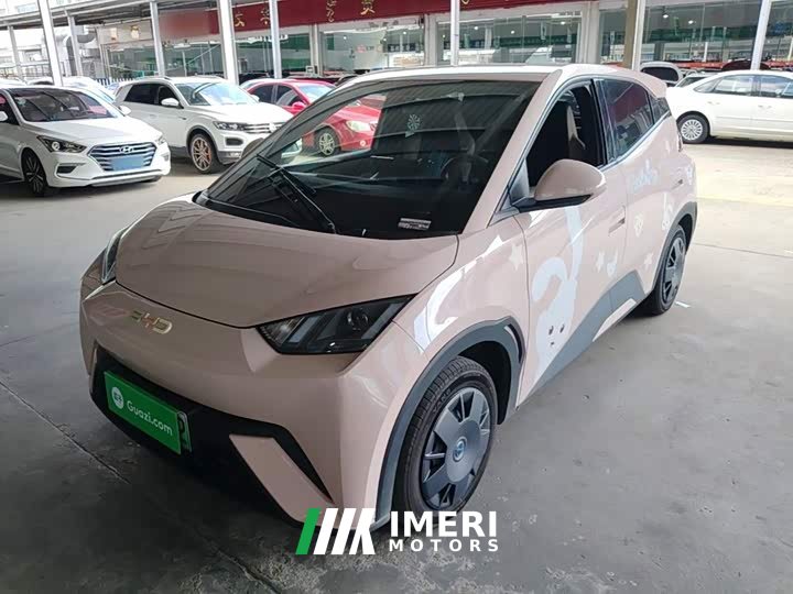 BYD Seagull 2025 305km Vitality Edition - ავტომობილი ჩინეთიდან