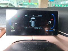 BYD Seagull 2025 305km Vitality Edition - ფოტო 12