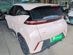 BYD Seagull 2025 305km Vitality Edition - ფოტო 5