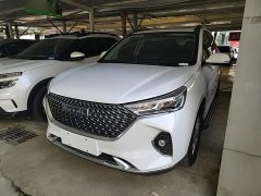 Haval M6 PLUS 1.5T DCT Luxury Smart Connected Edition - ფოტო 1