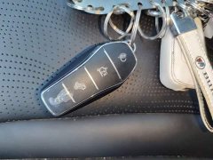 BYD Dolphin 06 DM-i Smart Drive 120KM Deluxe - ფოტო 9