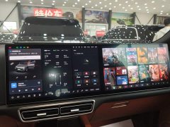 Li Auto L8 2023 Max - ფოტო 13